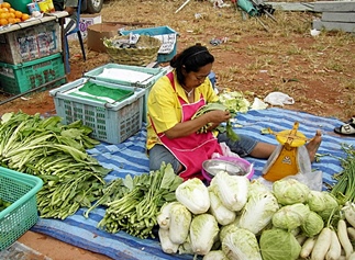 Bang Niang Markt - Khao Lak